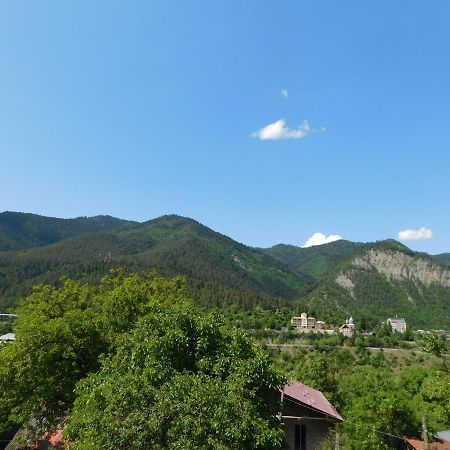 Akaki'S Guesthouse Borjomi Εξωτερικό φωτογραφία
