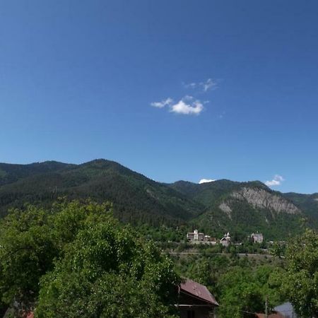 Akaki'S Guesthouse Borjomi Εξωτερικό φωτογραφία