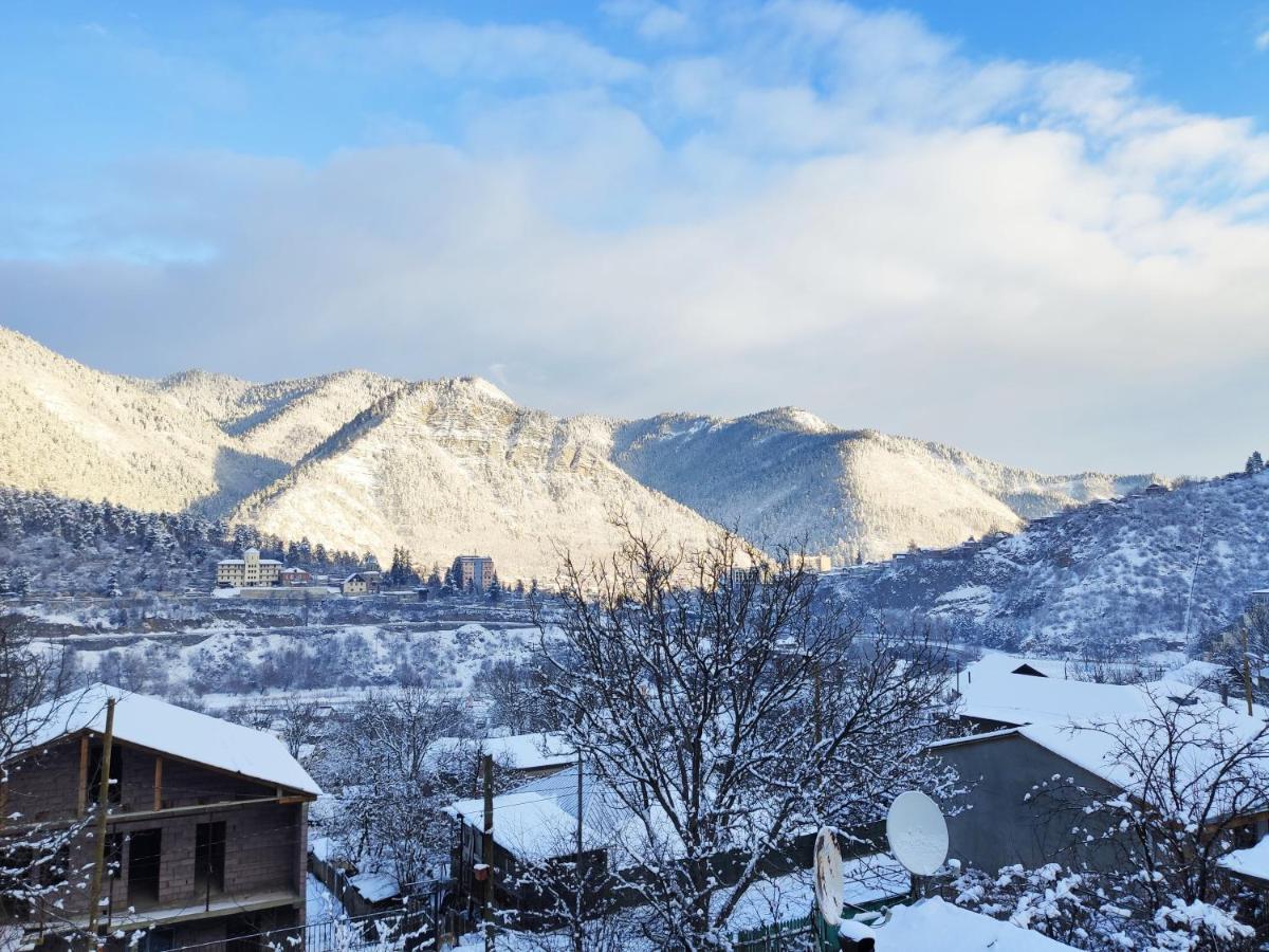 Akaki'S Guesthouse Borjomi Εξωτερικό φωτογραφία