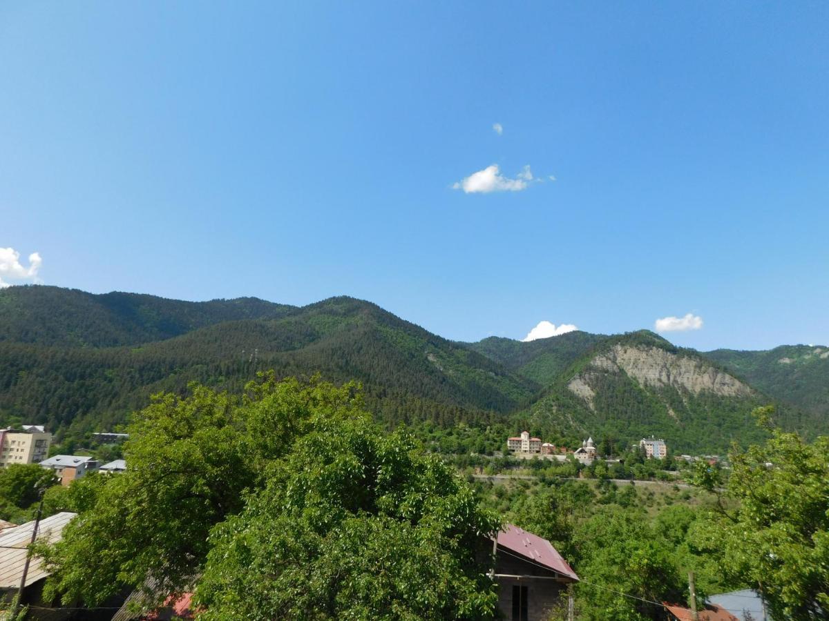 Akaki'S Guesthouse Borjomi Εξωτερικό φωτογραφία