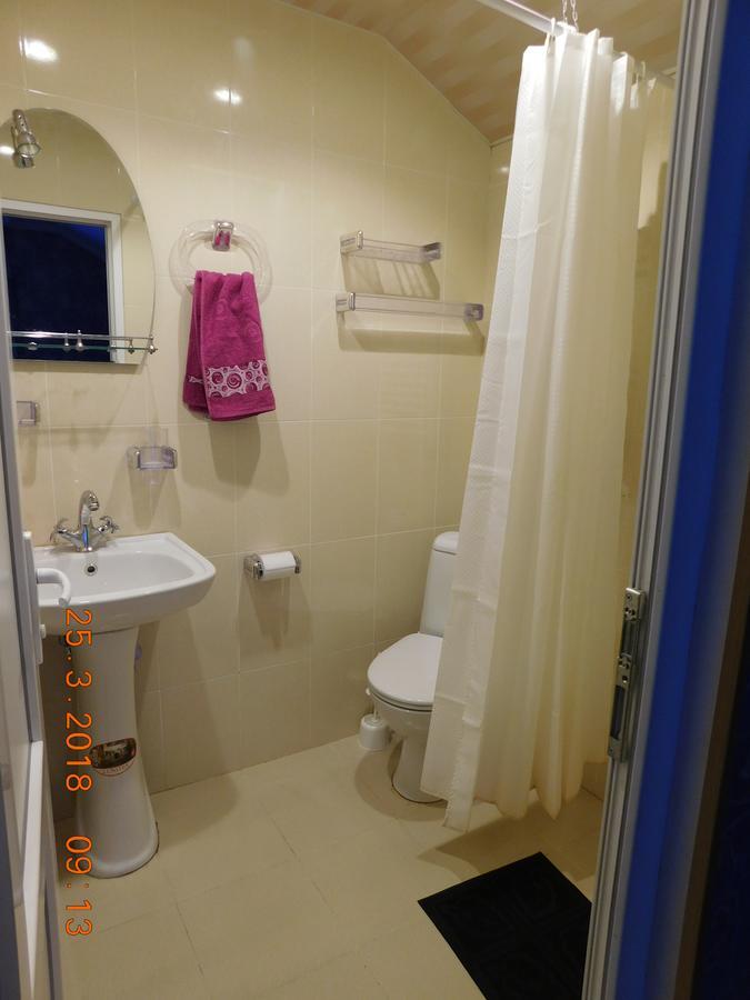 Akaki'S Guesthouse Borjomi Εξωτερικό φωτογραφία
