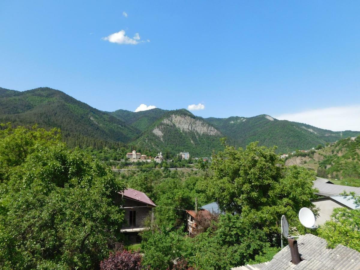 Akaki'S Guesthouse Borjomi Εξωτερικό φωτογραφία